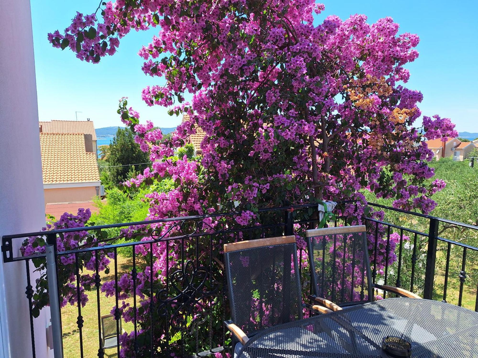 Apartments Vodopija 300M To The Beach Sveti Filip i Jakov Rom bilde