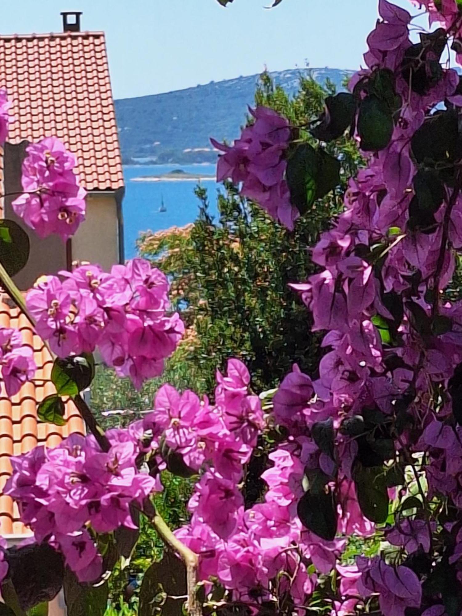 Apartments Vodopija 300M To The Beach Sveti Filip i Jakov Rom bilde